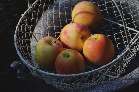 Olma — Oltin Market